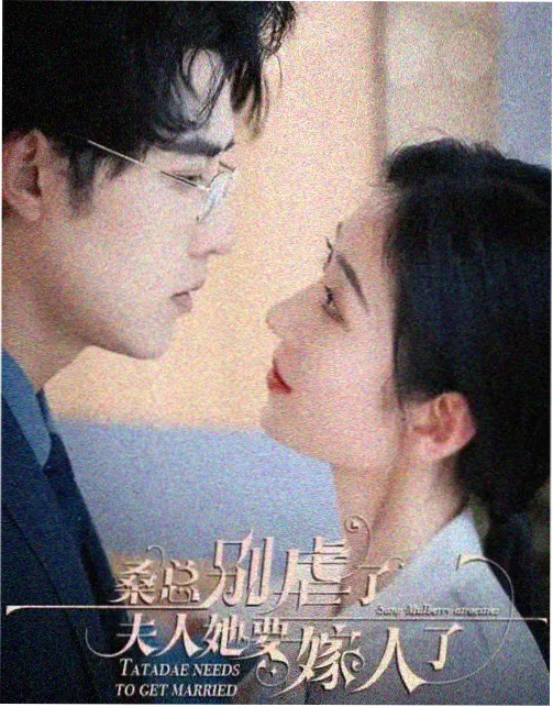 爱情而已2 都市爱情剧